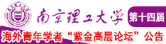 阴茎插进阳茎里面韩国人南京理工大学第十四届海外青年学者紫金论坛诚邀海内外英才！